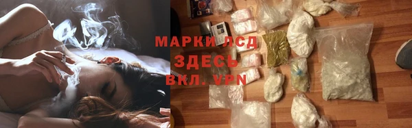 прущие грибы Арсеньев