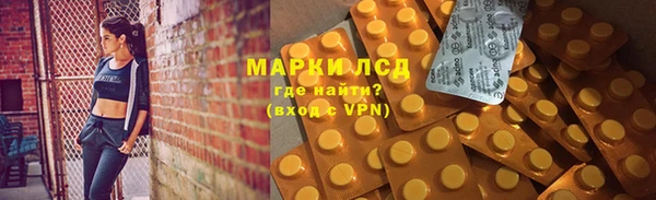 прущие грибы Арсеньев