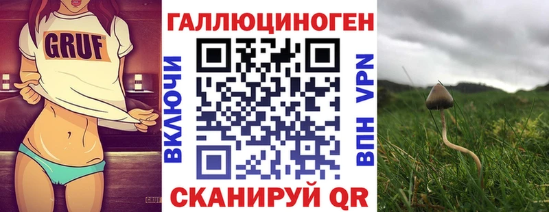 blacksprut зеркало  цены   Волгодонск  Псилоцибиновые грибы мухоморы 
